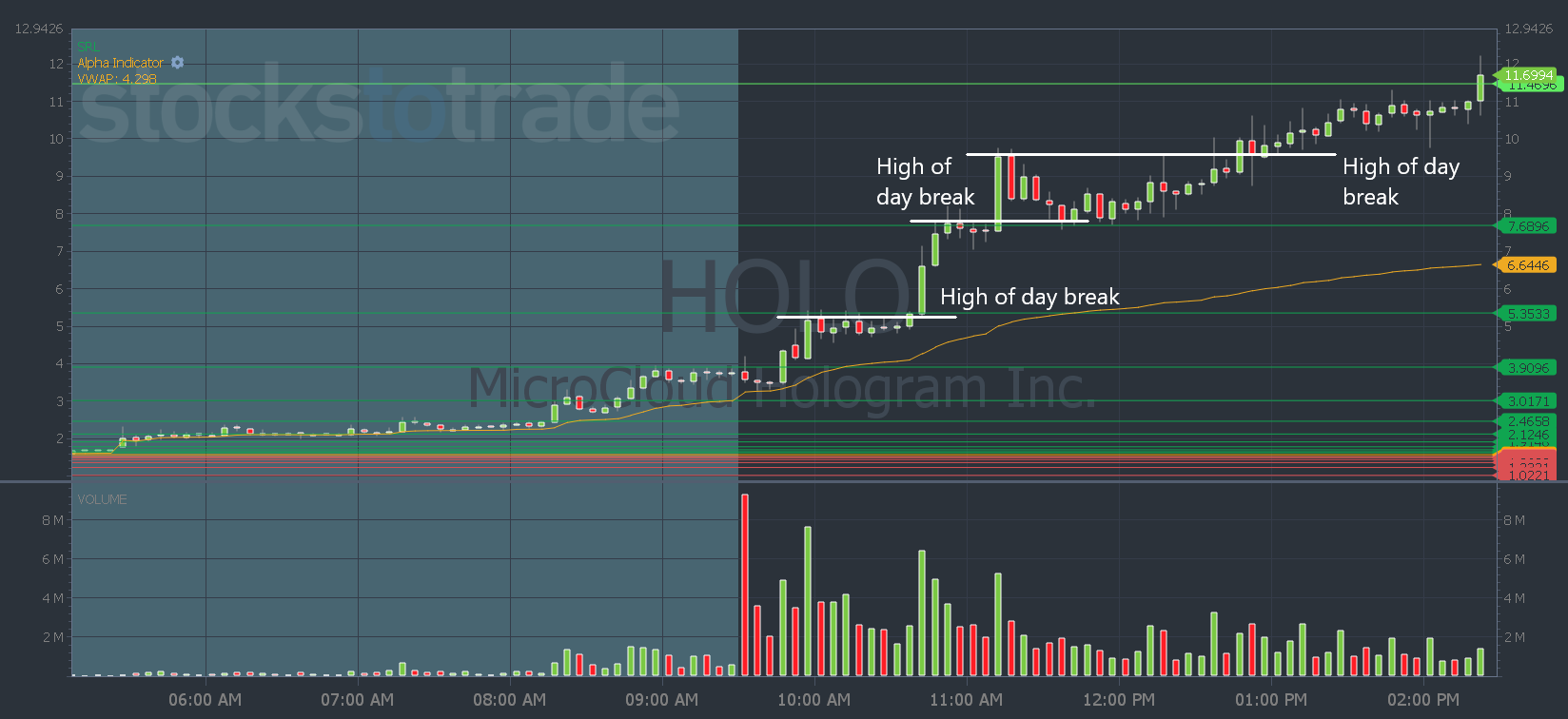 Analyzing Holo Stock: Prospects and Challenges