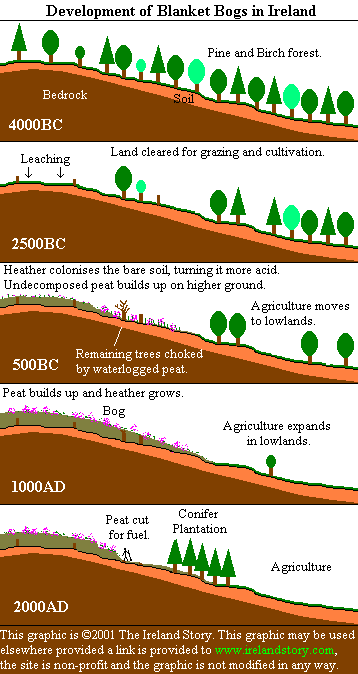 Peat: Nature’s Versatile Wonder