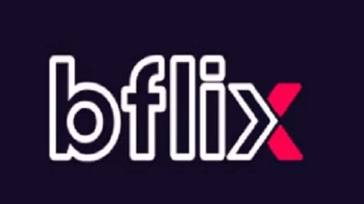 Bflix.gg: Redefining the Online Streaming Experience